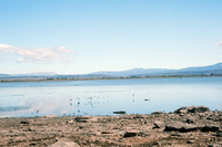 High Desert Research Farm 009 thumbnail