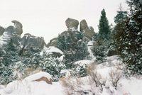 Rio Grande National Forest 012 thumbnail