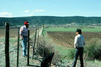 San Luis Valley orchards 002 thumbnail
