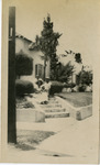 African American family posed on stairs in front of house. thumbnail