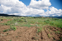 Kaber farm, Plowing 020 thumbnail