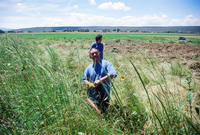 Kaber farm, Weed whacking 012 thumbnail