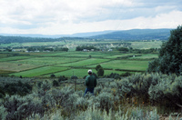 San Luis Valley farms 054 thumbnail