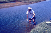 Pt. Mugu Wetlands thumbnail