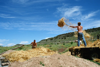 Gallegos farm, Root cellar construction 155 thumbnail