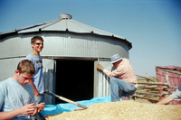 Kaber farm, Grain harvest 012 thumbnail
