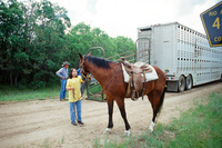 Torres ranch, Cattle drive 051 thumbnail