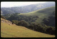 Pastures of Heaven thumbnail