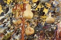 Pear Tree thumbnail