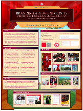 Branding A New University - Communication & Marketing ACE Poster thumbnail