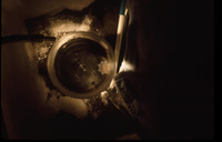 Lobate Ctenophore in widemouth jar thumbnail