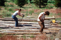 Gallegos farm, Root cellar construction 164 thumbnail