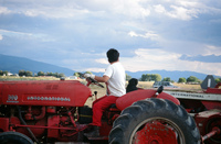 Kaber farm, Tractor driving 017 thumbnail