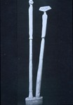 Lunar Asparagus thumbnail