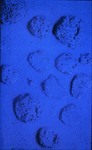 RE No. 15 thumbnail