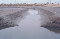 Pt. Mugu Wetlands thumbnail
