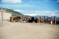 Farm animals and equipment 001 thumbnail