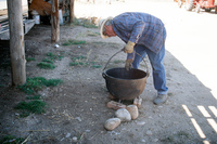 Kaber farm, Making chicharrones 002 thumbnail
