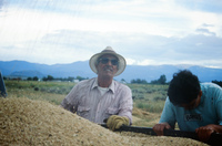 Kaber farm, Threshing oats and baling hay 027 thumbnail