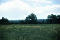 Kaber farm, Woodpile and fields 015 thumbnail