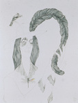 Alar thumbnail