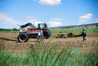 Kaber farm, Plowing and planting winter wheat 032 thumbnail