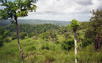 Cuban landscape thumbnail