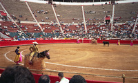 Bullfight inside the Plaza de Toros Mexico in Mexico City thumbnail