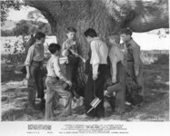 The Red Pony Movie Still thumbnail