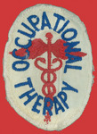 Occupational therapy patch. thumbnail