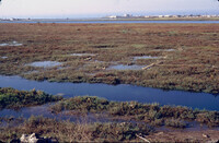 Pt. Mugu Wetlands thumbnail