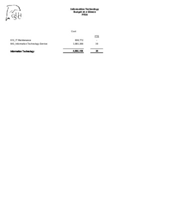 Information Technology 2008-2009 Budget at a Glance thumbnail