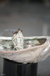 Native Voices Exhibit thumbnail