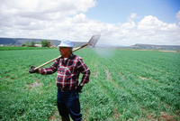 Kaber farm, Irrigating fields 031 thumbnail