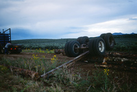 Kaber farm, Logging 006 thumbnail