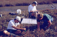Pt. Mugu Wetlands thumbnail