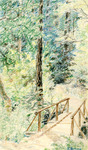 Footbridge in forest thumbnail
