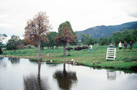 Lake Carrico 016 thumbnail