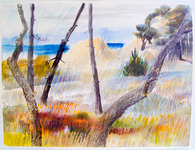 100 17 Mile Dr. at Spanish Bay thumbnail