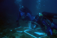 Bird Rock Transects thumbnail