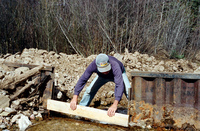 Maistas farm, Ditch and cattle 018 thumbnail