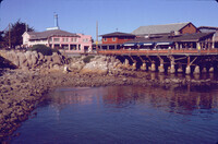 Intertidal zone and pier, Monterey thumbnail