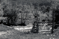 Kaber farm 009 thumbnail