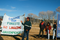 Logging protests 071 thumbnail