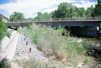 River, plants and mountains 004 thumbnail