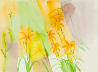 Bird of Paradise soft Home thumbnail