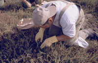Pt. Mugu Wetlands thumbnail