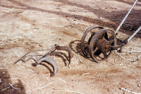 Farming in San Luis Valley 010 thumbnail