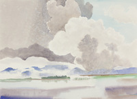 First & Nees thumbnail