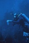 Collecting Ostracods (daytime mock dive) thumbnail